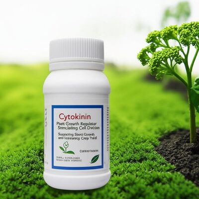 Specialized Cytokinin Plant Growth Regulator Stimulating Cell Division Supporting Shoot Growth and Increasing Crop Yield